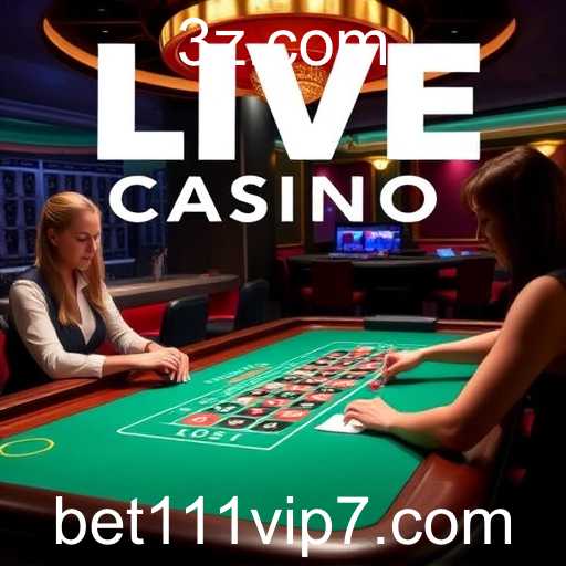 Explorando a Categoria 'Live Casino' no Bet111